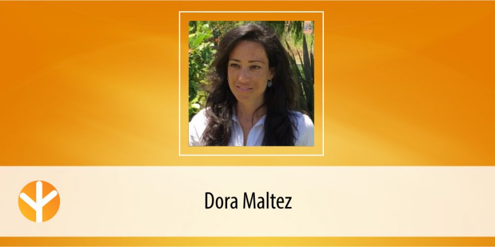 Candidata do Dia: Dora Maltez